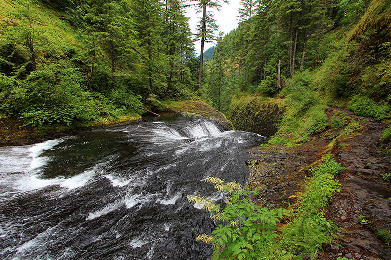 Twister Falls Eagle Creek Columbia River