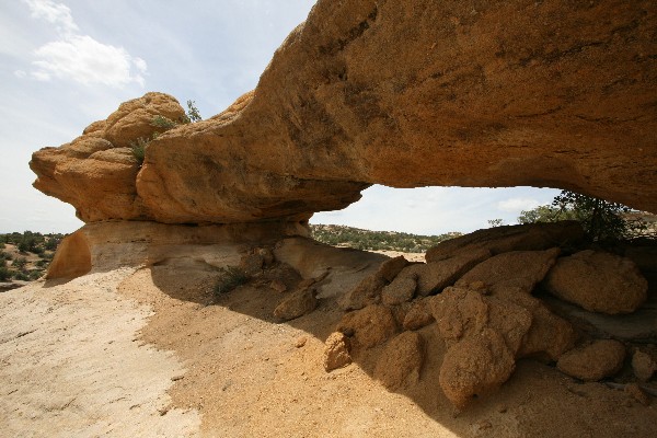 Two-headed Snake Arch