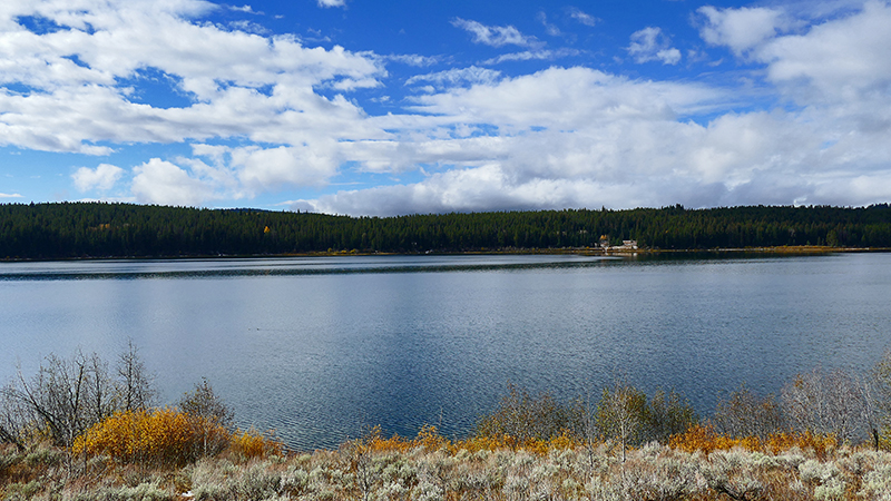 Two Ocean Lake Grand View Emma Matilda Lake Grand Teton National Park