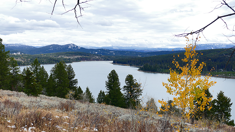 Two Ocean Lake Grand View Emma Matilda Lake Grand Teton National Park