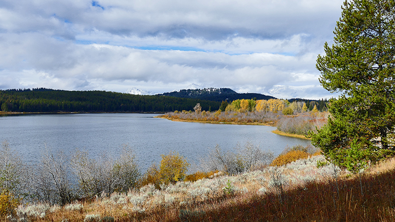 Two Ocean Lake Grand View Emma Matilda Lake Grand Teton National Park