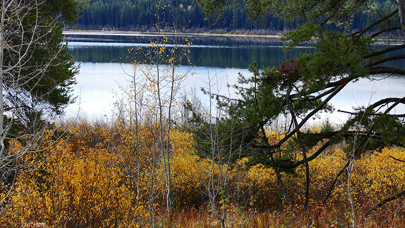 Two Ocean Lake Grand View Emma Matilda Lake Grand Teton National Park