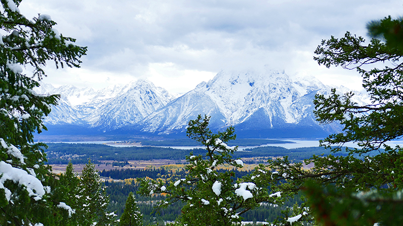 Two Ocean Lake Grand View Emma Matilda Lake Grand Teton National Park