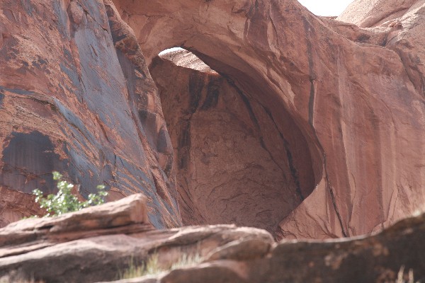 Updraft Arch