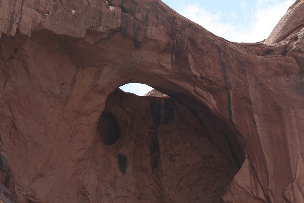 Updraft Arch