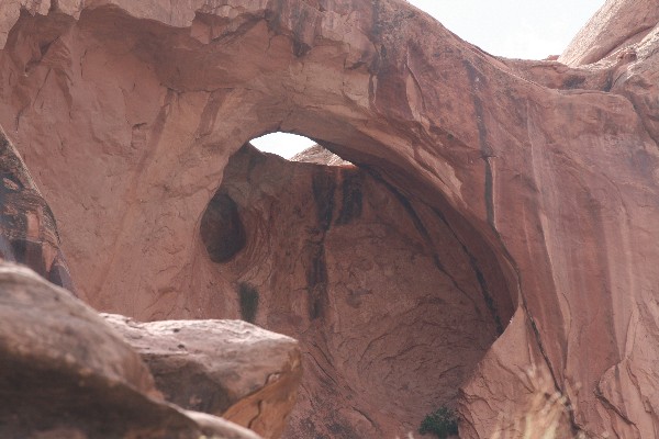 Updraft Arch