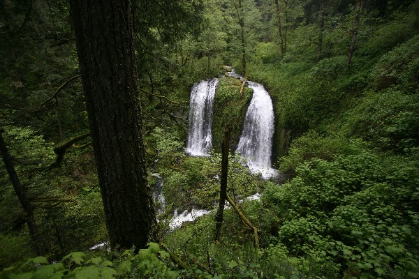 Upper McCord Creek Falls