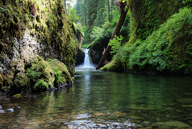 Upper Punch Ball Falls Eagle Creek