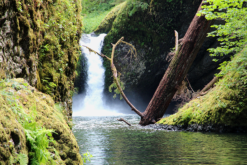 Upper Punch Ball Falls