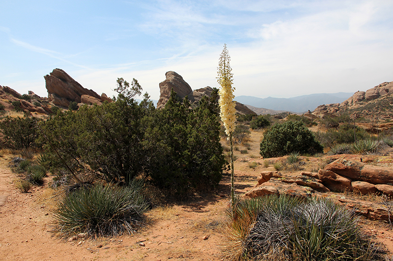 Vasquez Rocks Agua Dulce Canyon County Park