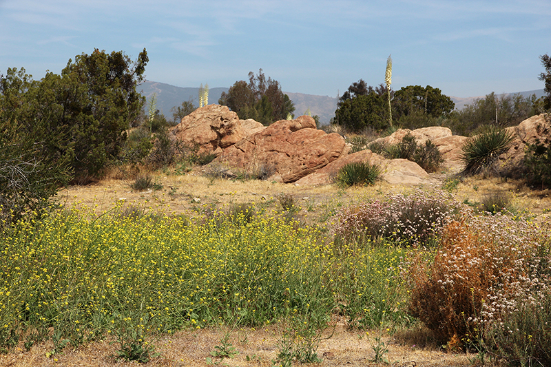 Vasquez Rocks Agua Dulce Canyon County Park