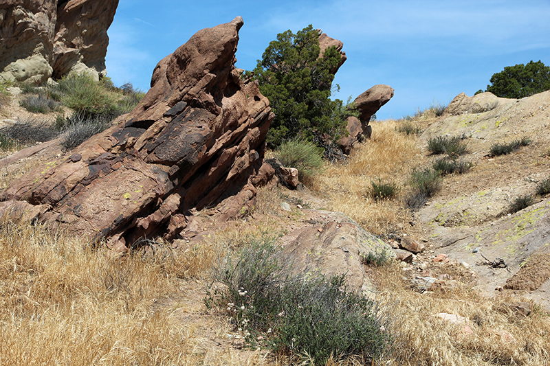 Vasquez Rocks Agua Dulce Canyon County Park