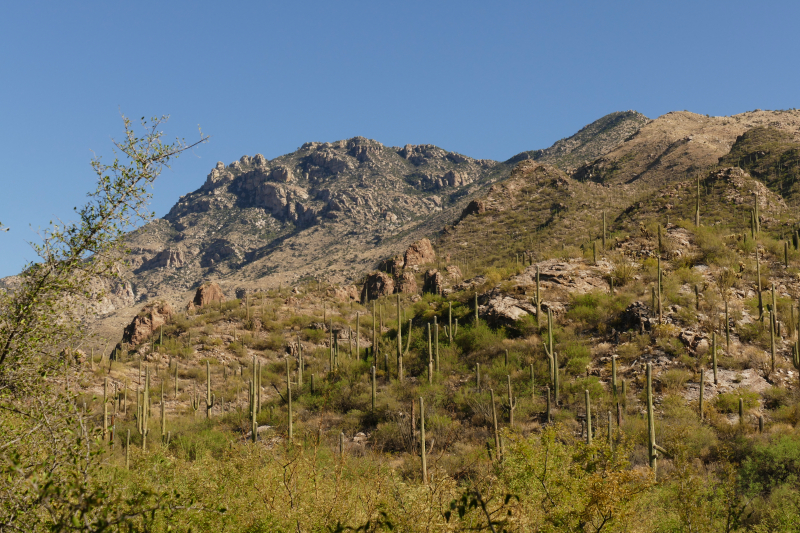 Ventana Canyon Tucson [Coronado National Forest]