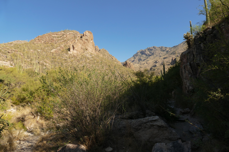 Ventana Canyon Tucson [Coronado National Forest]