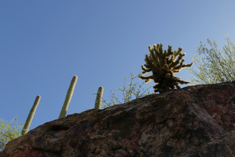 Ventana Canyon Tucson [Coronado National Forest]