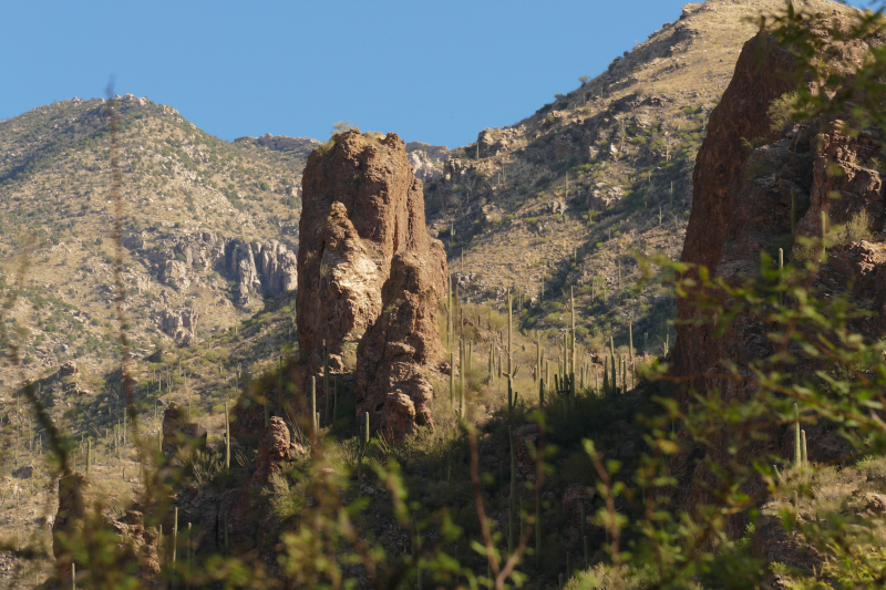 Ventana Canyon Tucson [Coronado National Forest]