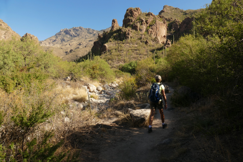 Ventana Canyon Tucson [Coronado National Forest]