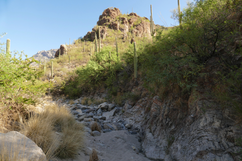 Ventana Canyon Tucson [Coronado National Forest]