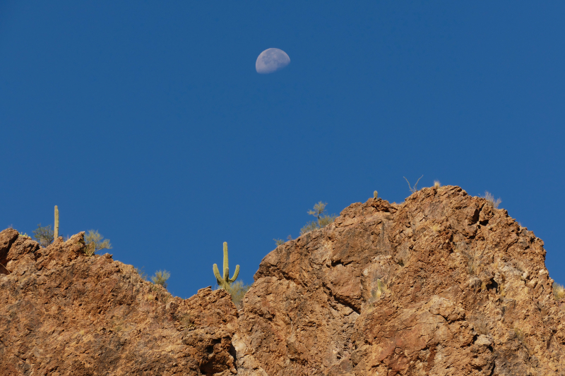 Ventana Canyon Tucson [Coronado National Forest]