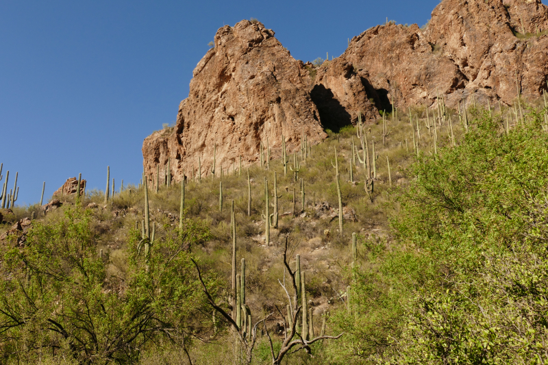 Ventana Canyon Tucson [Coronado National Forest]