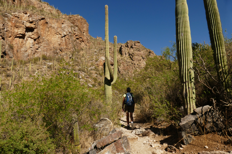 Ventana Canyon Tucson [Coronado National Forest]