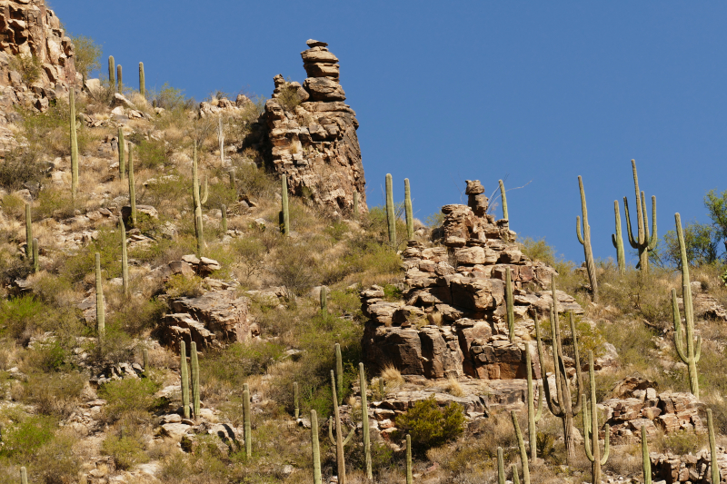 Ventana Canyon Tucson [Coronado National Forest]