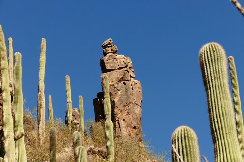 Ventana Canyon Tucson [Coronado National Forest]