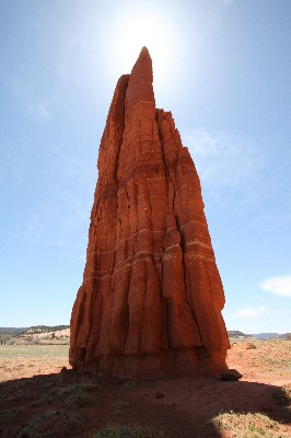 Venus Needle