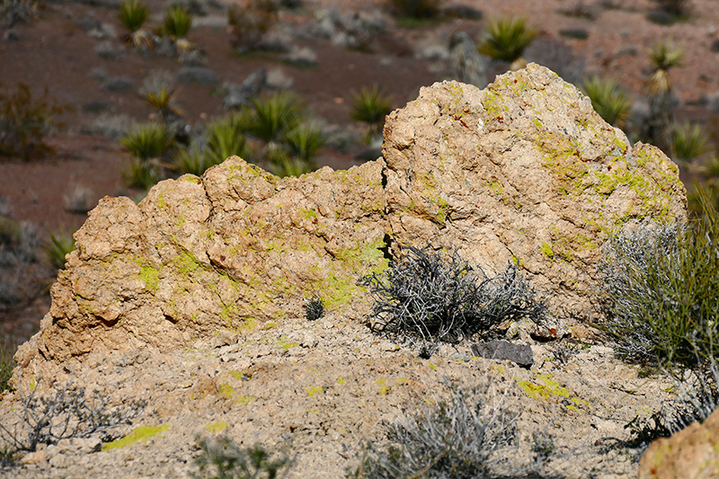 Virlis Fisher Arch Trail [Eldorado Mountains]