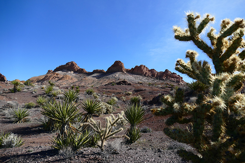 Virlis Fisher Arch Trail [Eldorado Mountains]