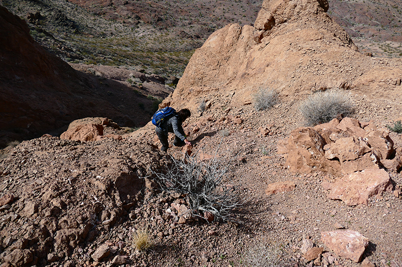 Virlis Fisher Arch Trail [Eldorado Mountains]