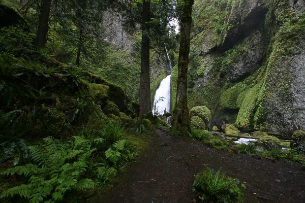 Wahclella Falls