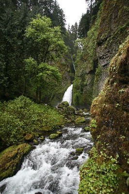 Wahclella Falls