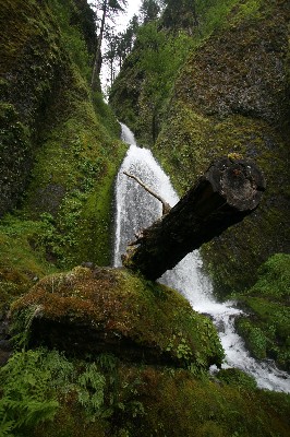 Wahkeena Falls