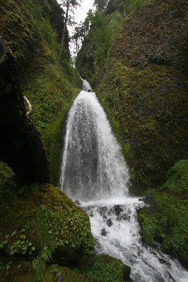 Wahkeena Falls