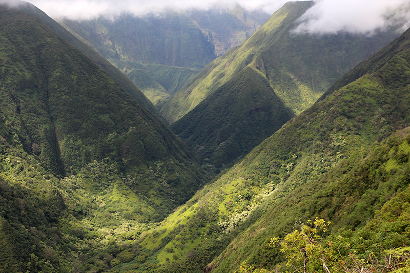 Waihee Ridge [Maui - Hawaii]