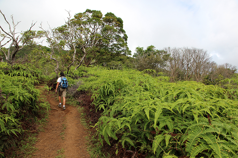 USA Hiking Database: Bilder der Wanderung - Pictures of the hike