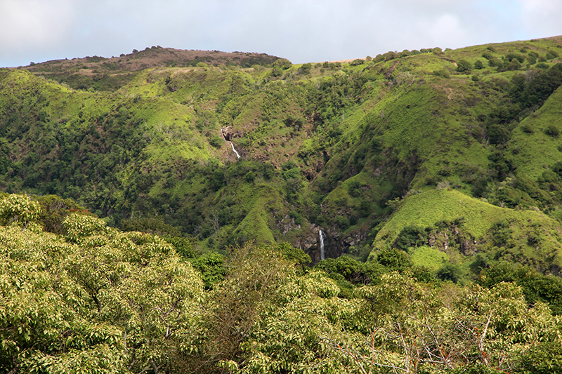 Waihee Ridge [Maui - Hawaii]