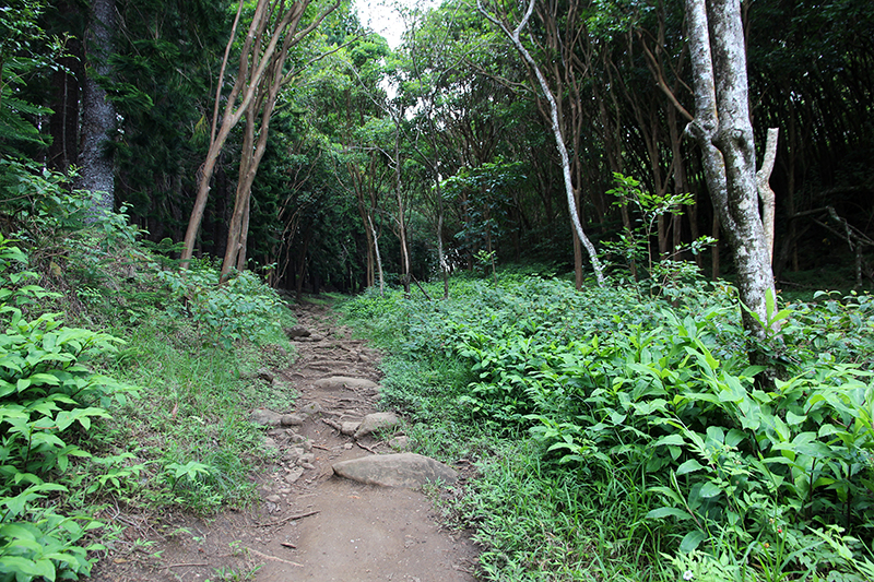 Waihee Ridge [Maui - Hawaii]