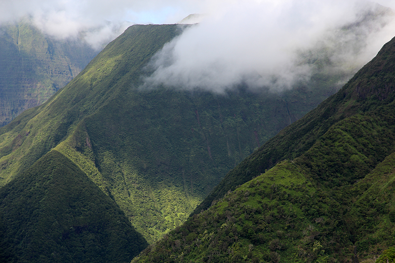 Waihee Ridge [Maui - Hawaii]