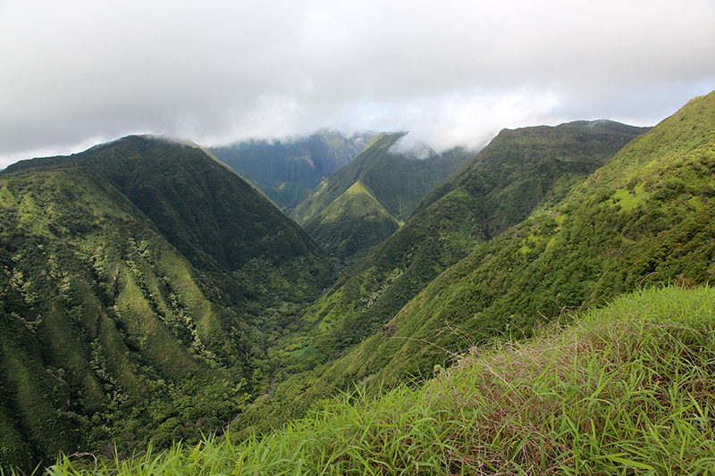 Waihee Ridge [Maui - Hawaii]