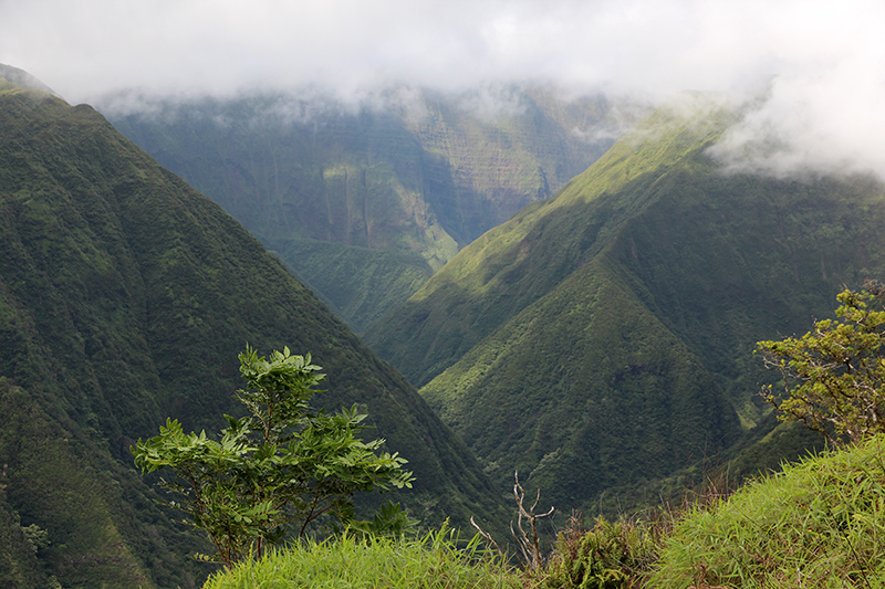 Waihee Ridge [Maui - Hawaii]