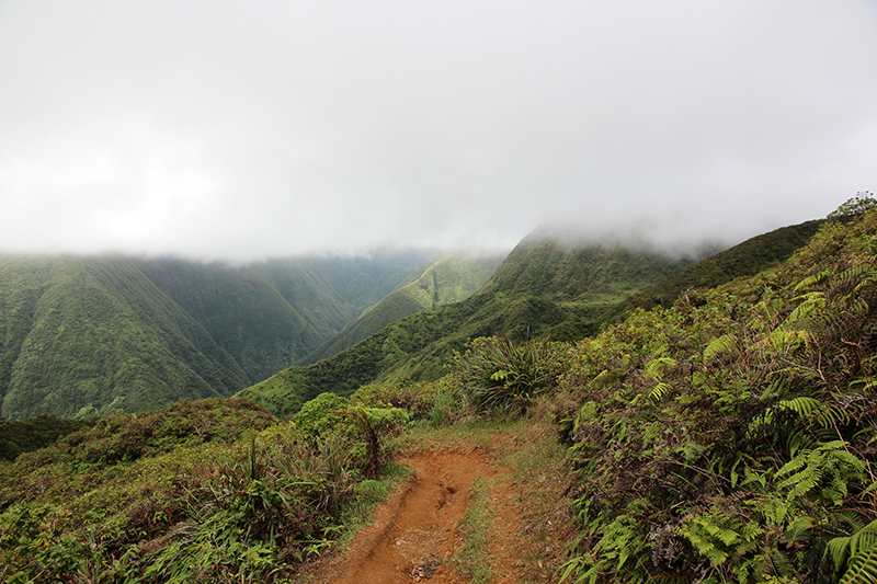 Waihee Ridge [Maui - Hawaii]