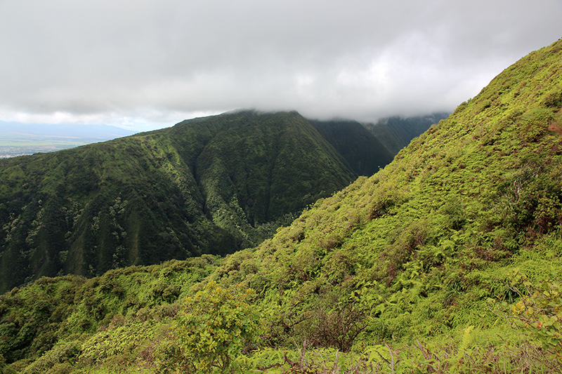 Waihee Ridge [Maui - Hawaii]