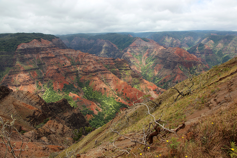 Waimea Canyon Kauai