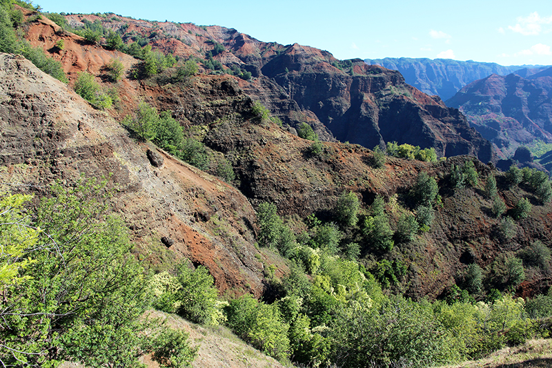 Waimea Canyon Kauai