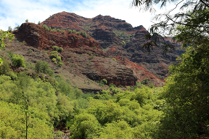 Waimea Canyon Kauai