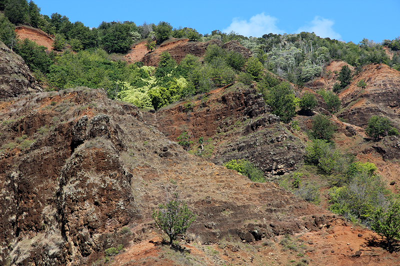 Waimea Canyon Kauai