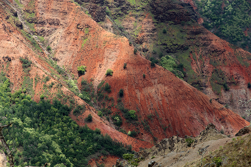 Waimea Canyon Kauai