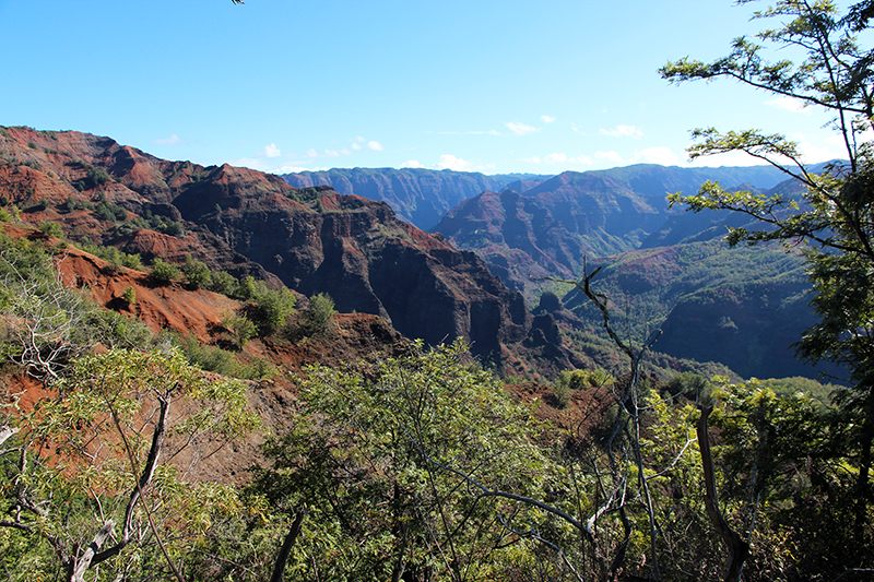 Waimea Canyon Kauai